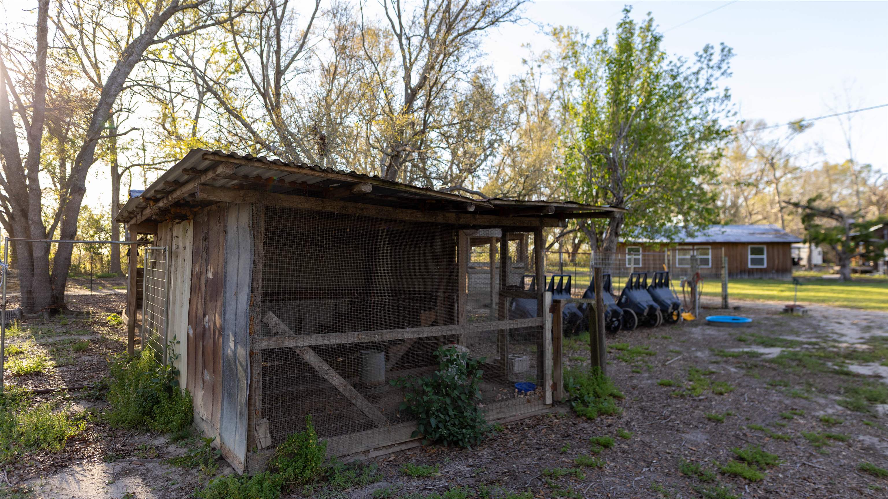 438 Northeast English Ivy Trail Pinetta, FL 32350 - Photo 12 of 42