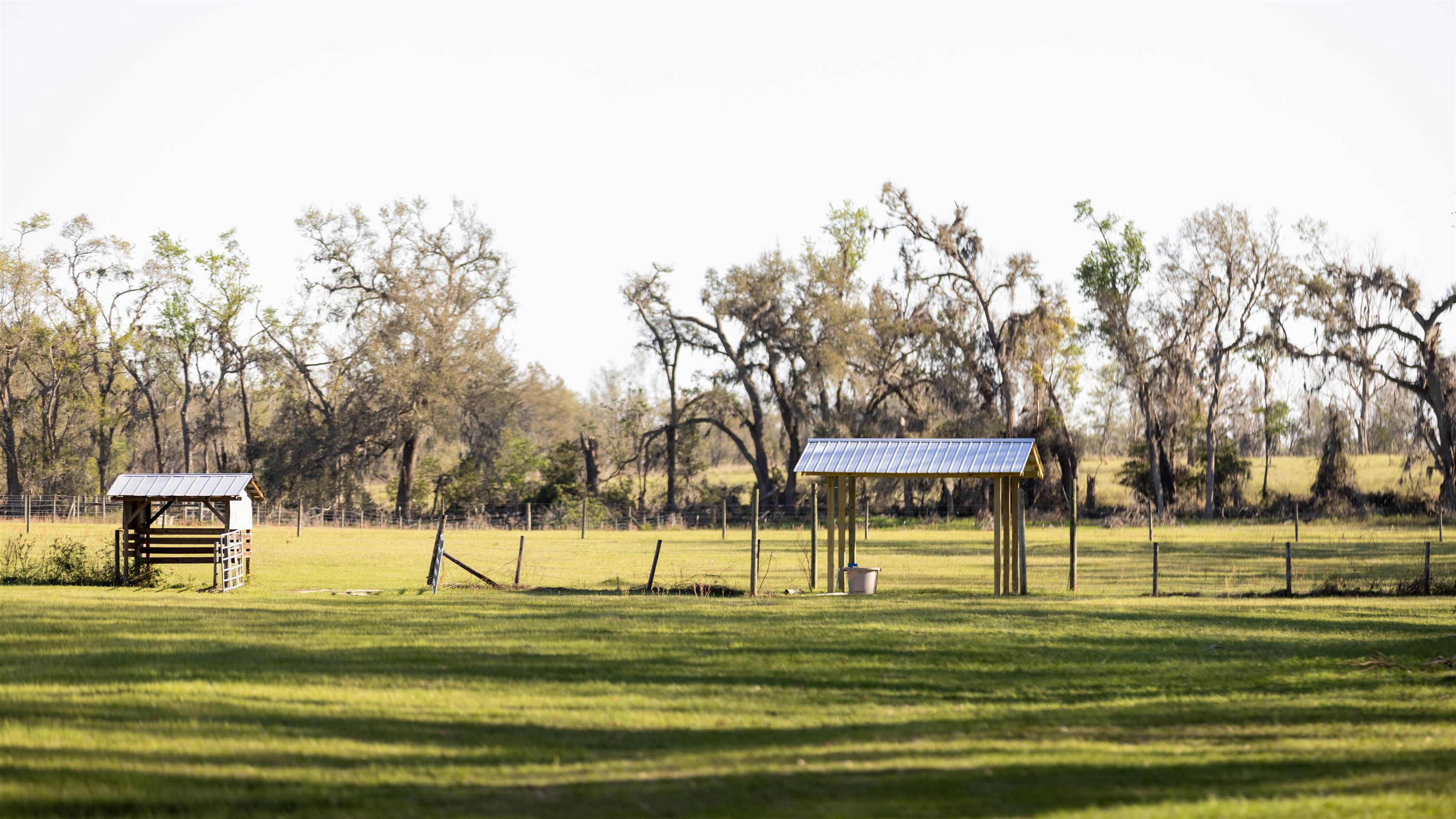 438 Northeast English Ivy Trail Pinetta, FL 32350 - Photo 13 of 42