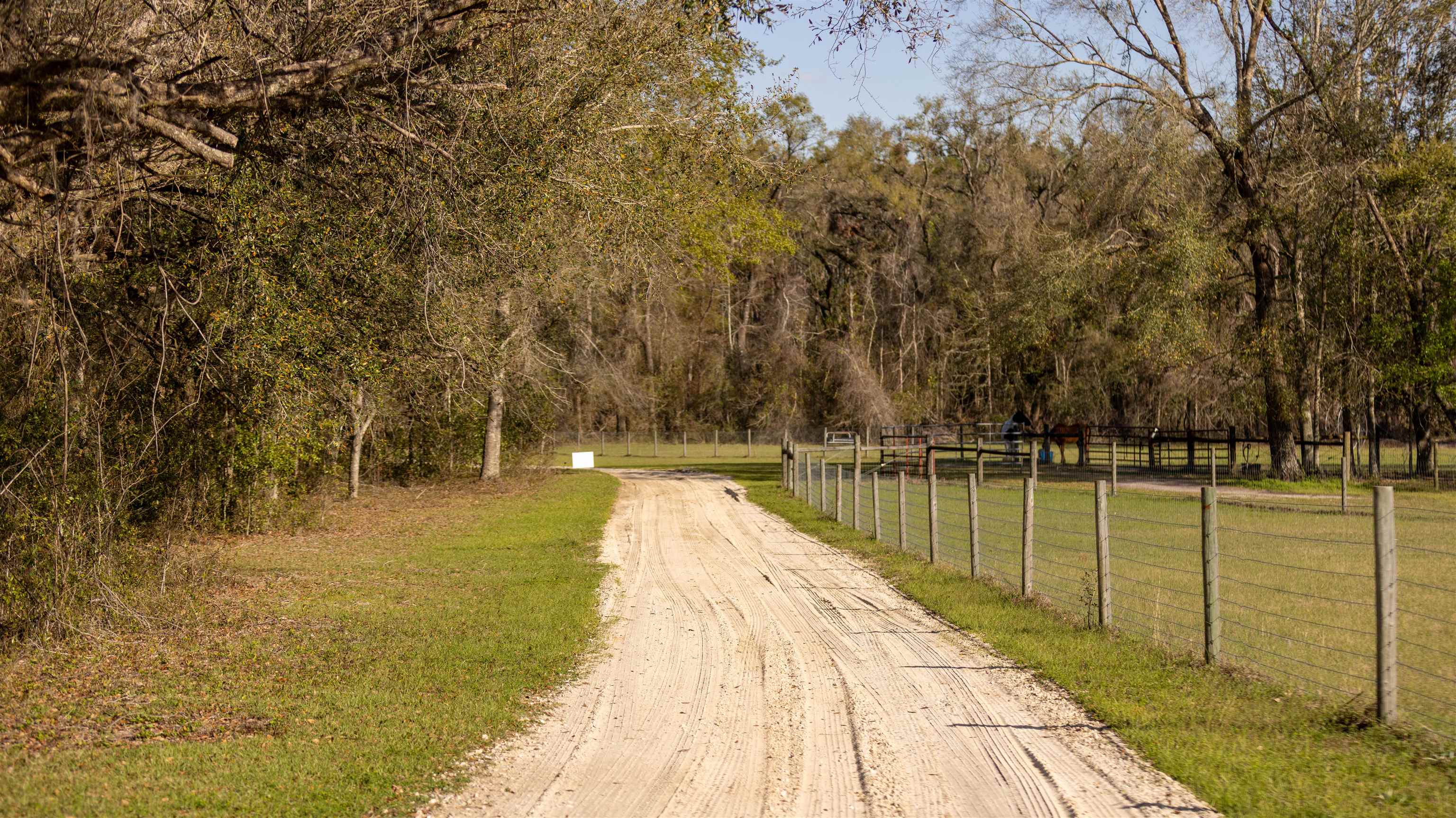 438 Northeast English Ivy Trail Pinetta, FL 32350 - Photo 14 of 42