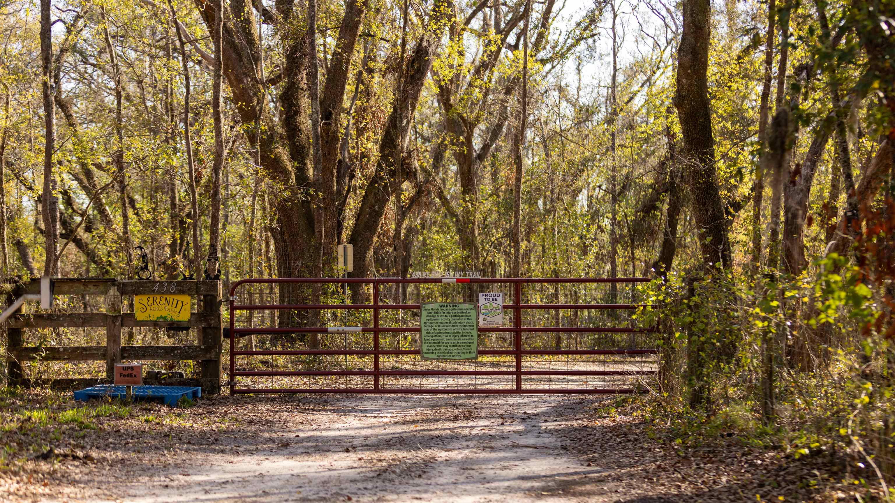 438 Northeast English Ivy Trail Pinetta, FL 32350 - Photo 16 of 42