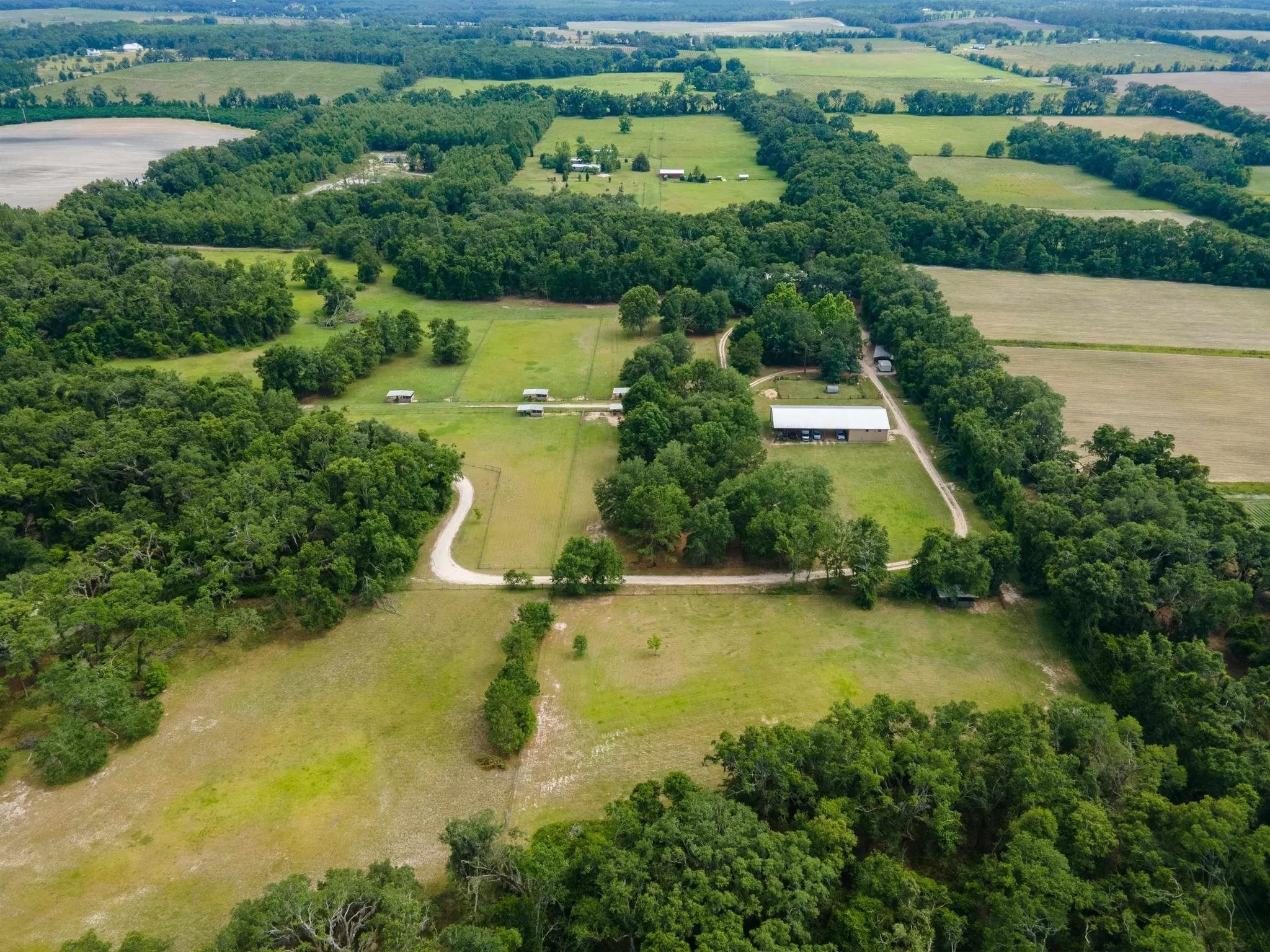 438 Northeast English Ivy Trail Pinetta, FL 32350 - Photo 18 of 42