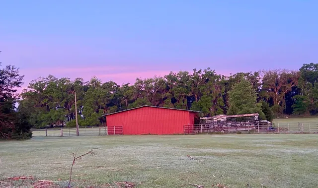 $1,350,000 | 438 Northeast English Ivy Trail, Pinetta, FL 32350