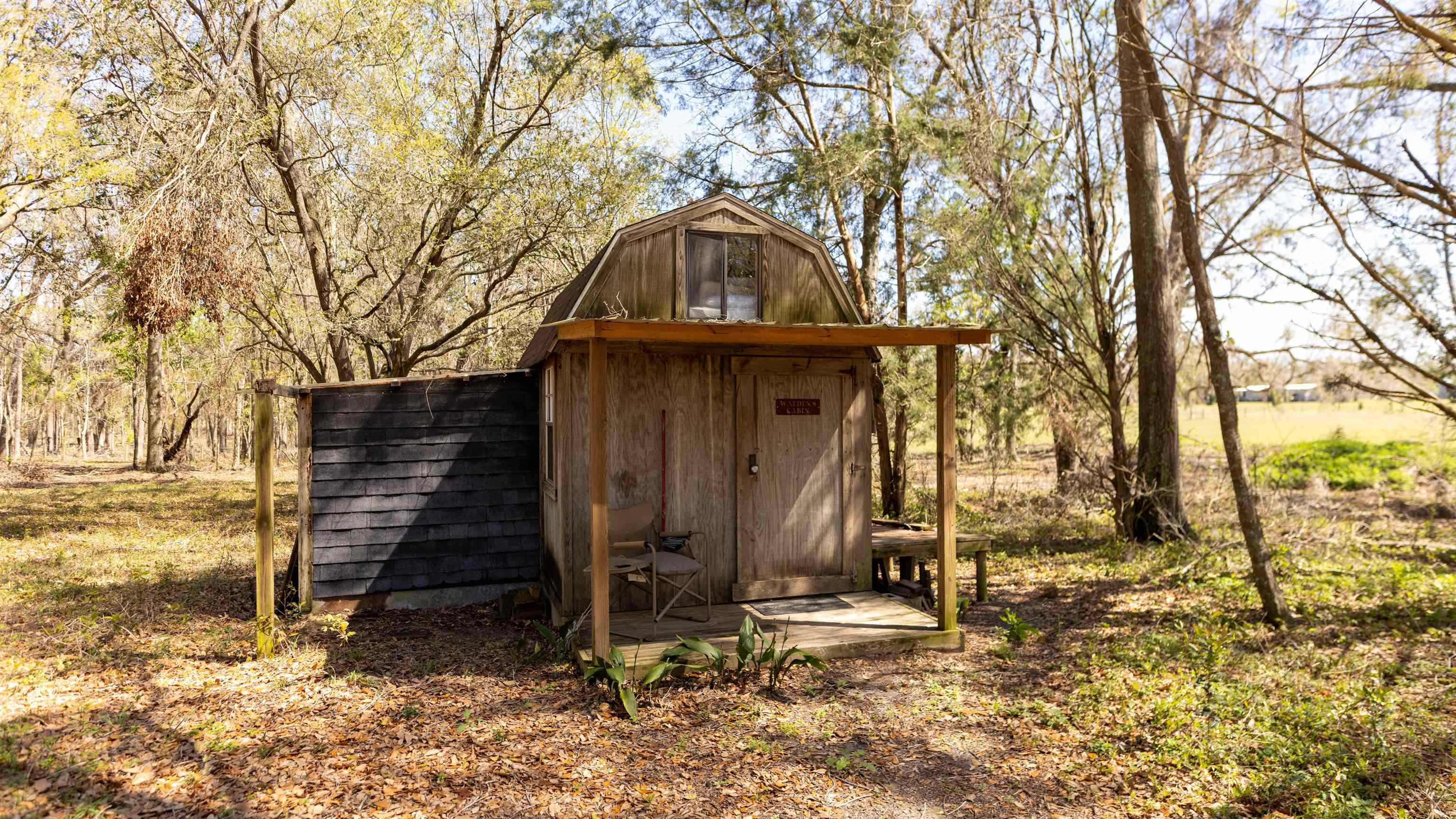 438 Northeast English Ivy Trail Pinetta, FL 32350 - Photo 3 of 42