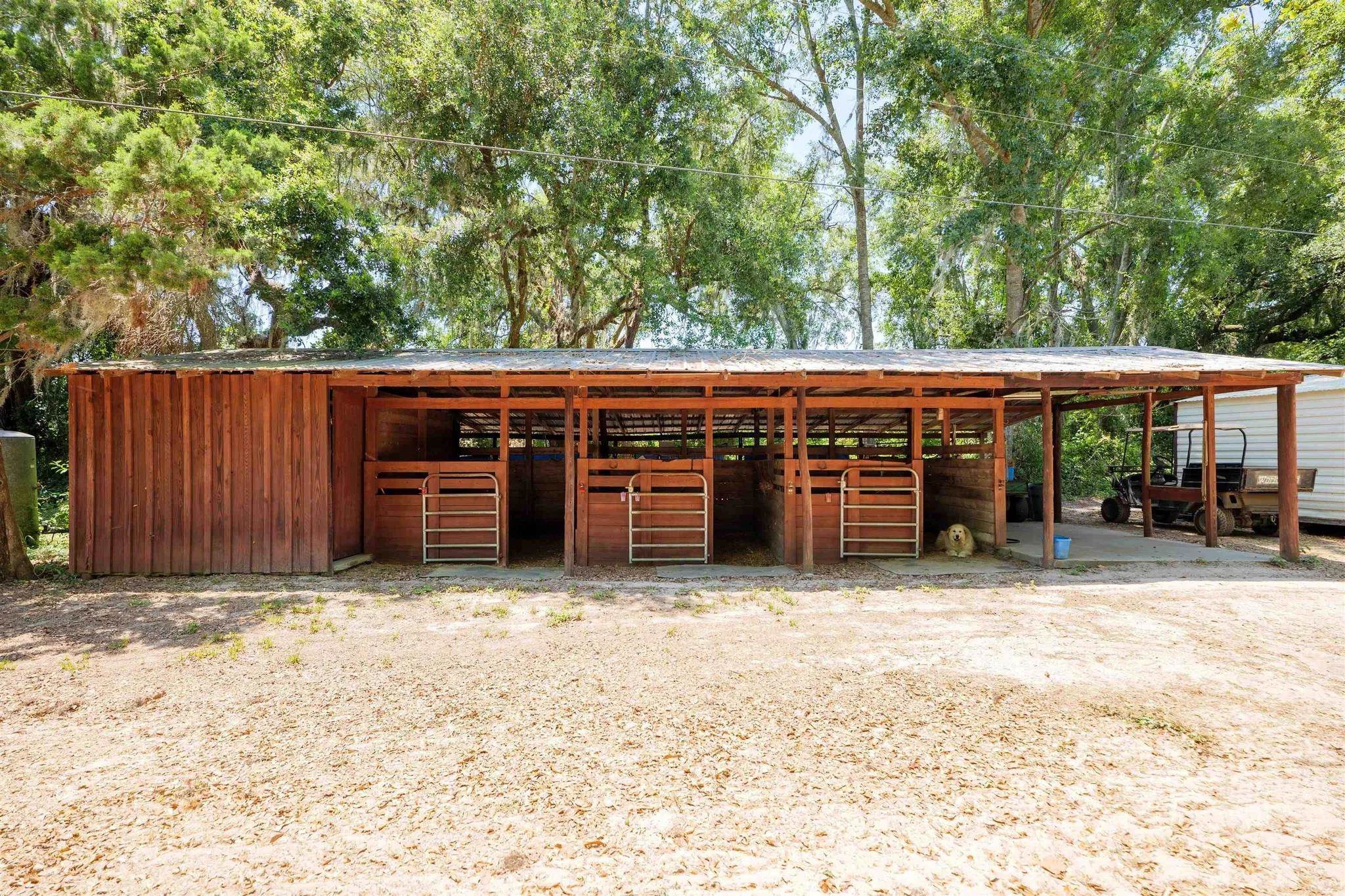 438 Northeast English Ivy Trail Pinetta, FL 32350 - Photo 31 of 42