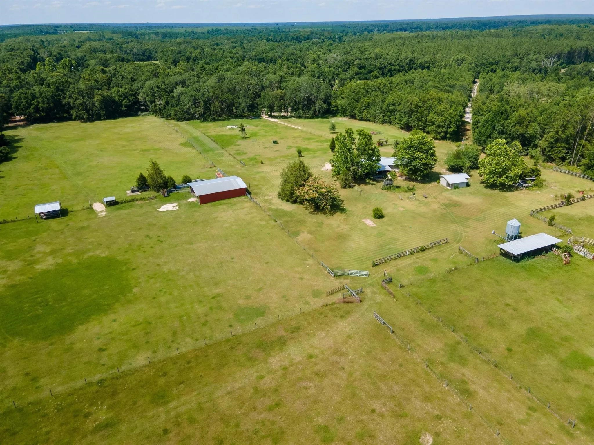 438 Northeast English Ivy Trail Pinetta, FL 32350 - Photo 6 of 42