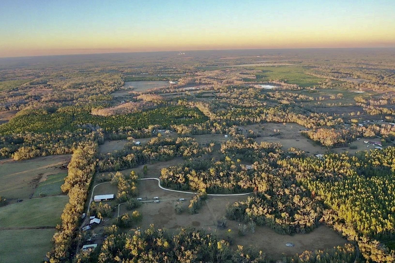 438 Northeast English Ivy Trail Pinetta, FL 32350 - Photo 7 of 42