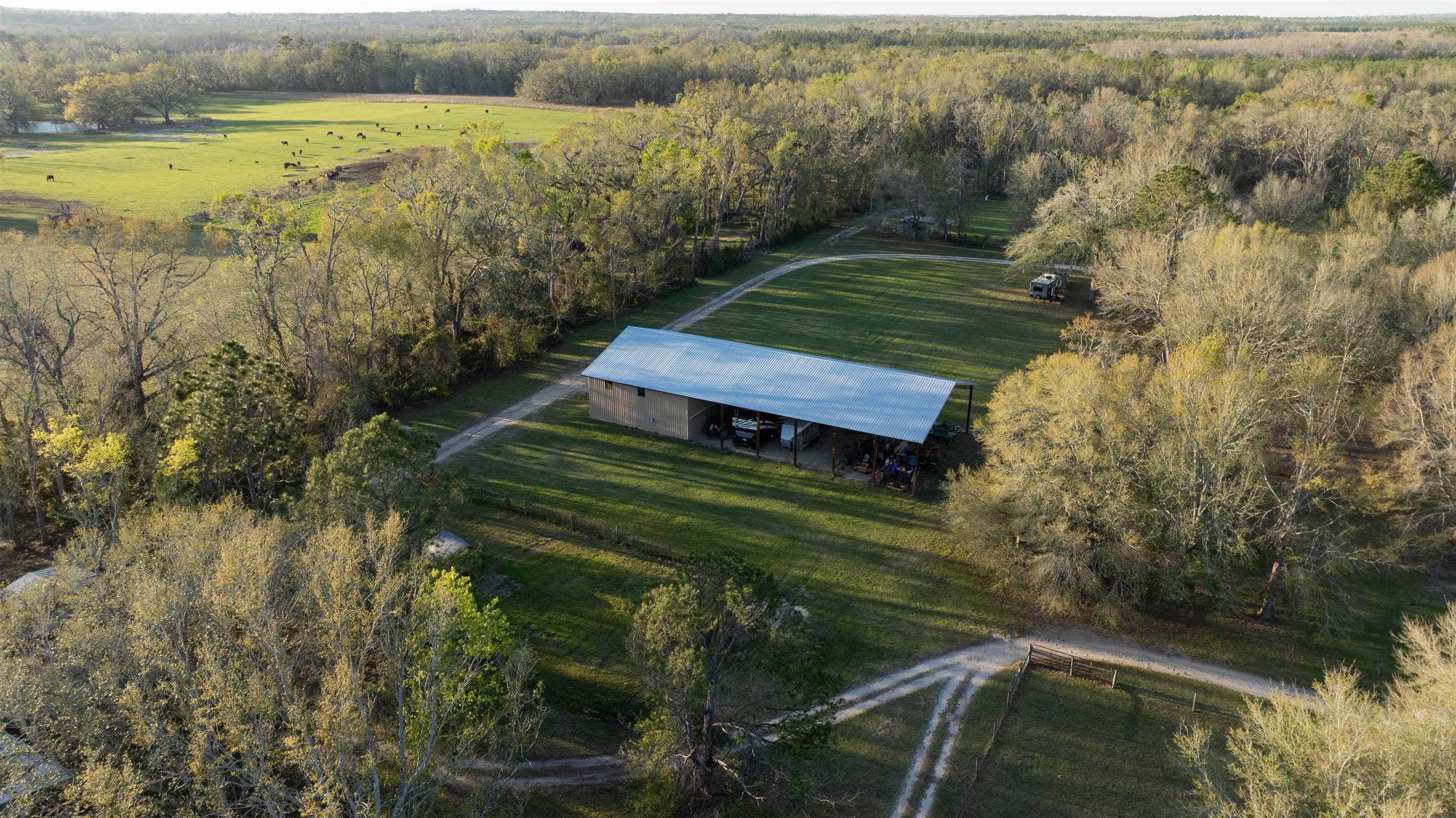 438 Northeast English Ivy Trail Pinetta, FL 32350 - Photo 8 of 42