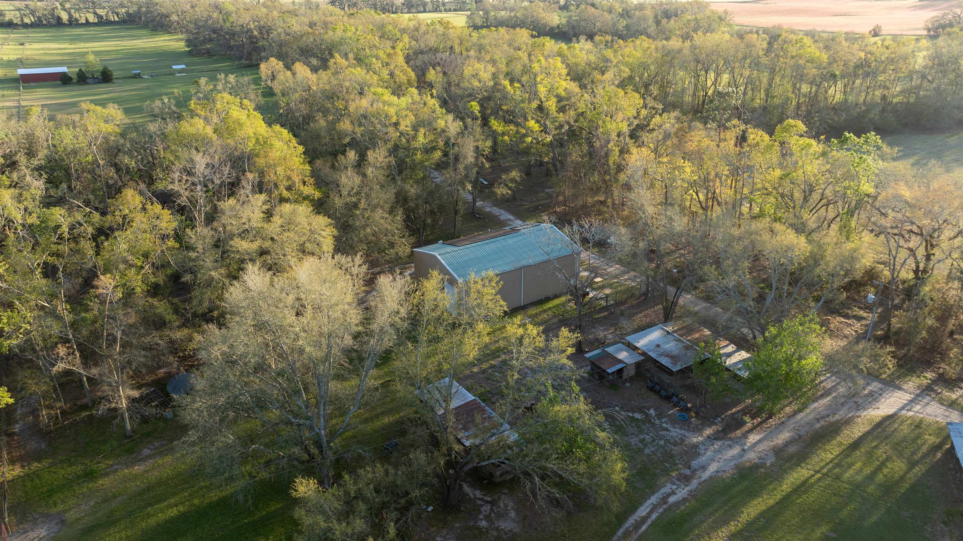 438 Northeast English Ivy Trail Pinetta, FL 32350 - Photo 9 of 42