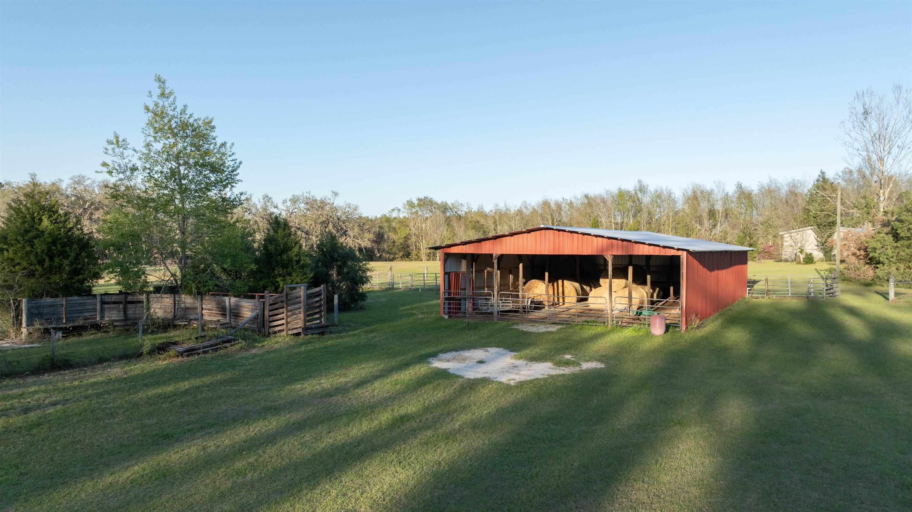 438 Northeast English Ivy Trail Pinetta, FL 32350 - Photo 10 of 42