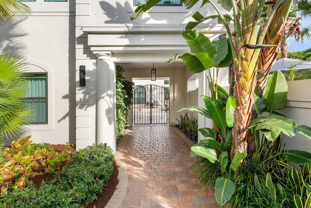 a plant is in front of building