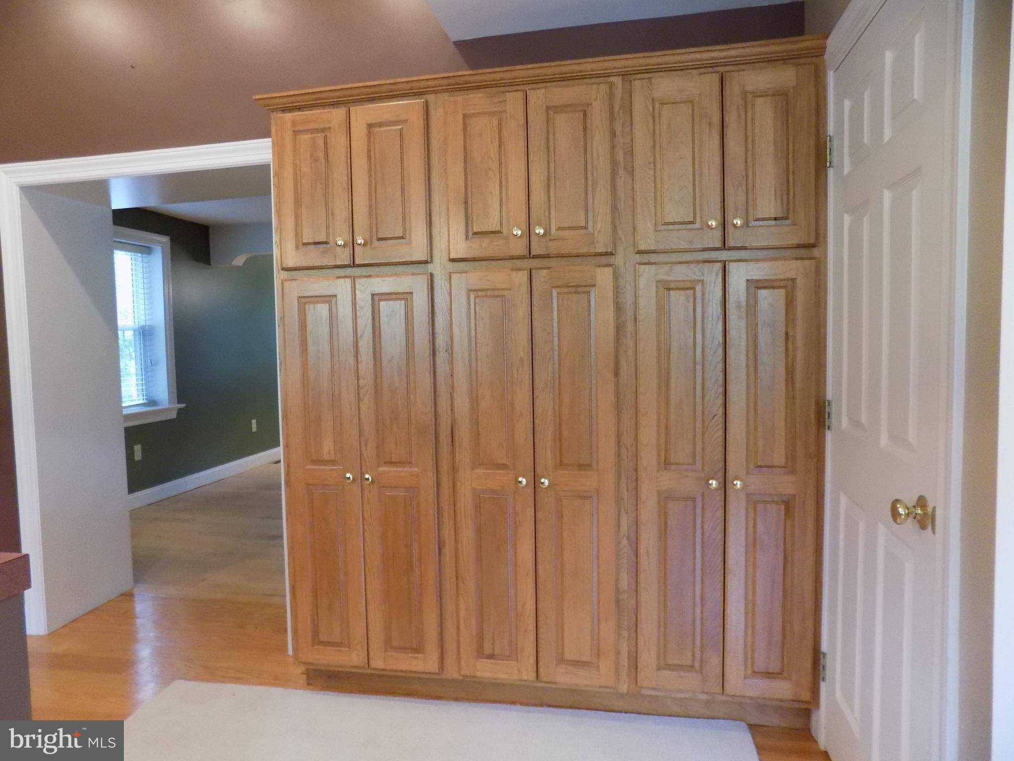 843 Disston View Drive Lititz, PA 17543 - Photo 16 of 55 Kitchen Storage