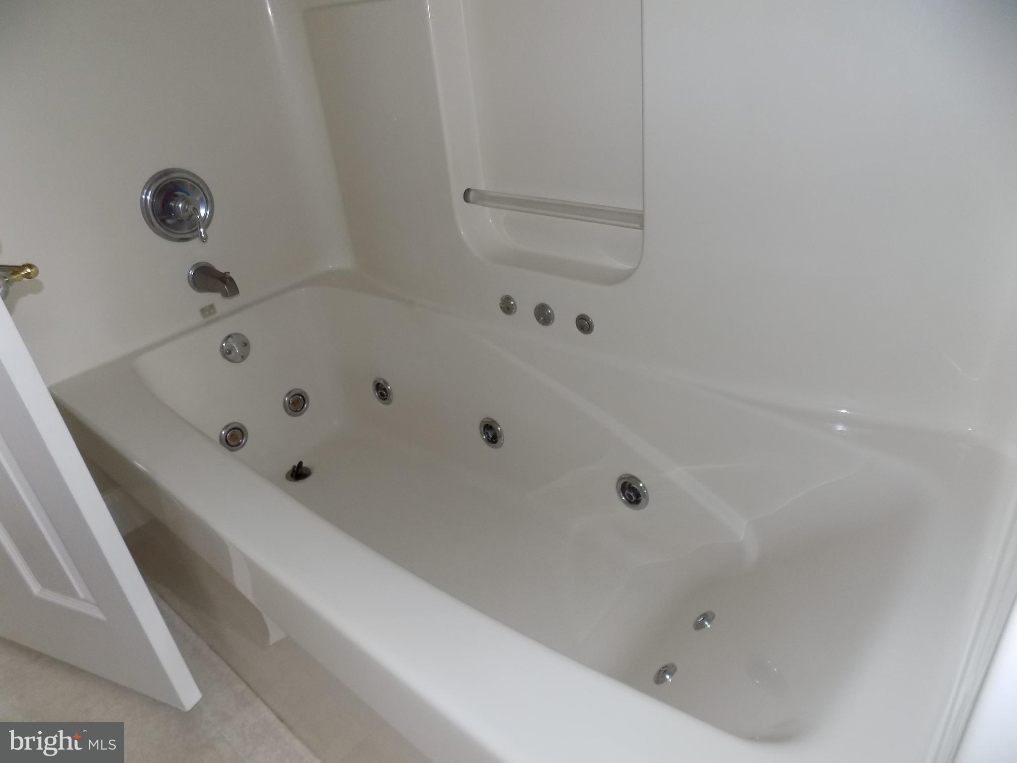 843 Disston View Drive Lititz, PA 17543 - Photo 29 of 55 Master Bath Tub