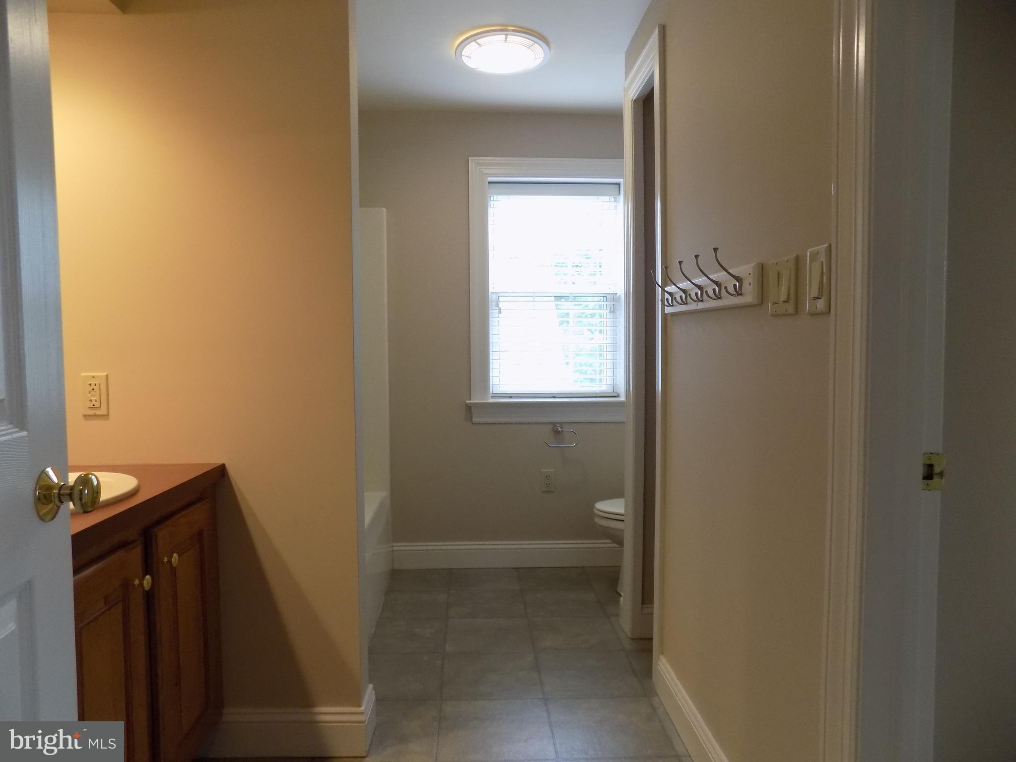 843 Disston View Drive Lititz, PA 17543 - Photo 35 of 55 Bath