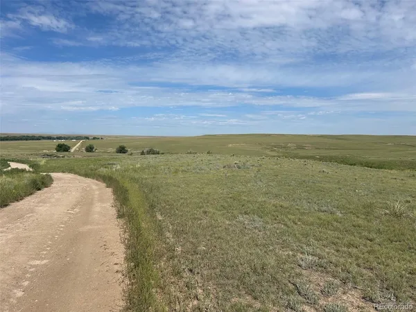 a view of an ocean beach