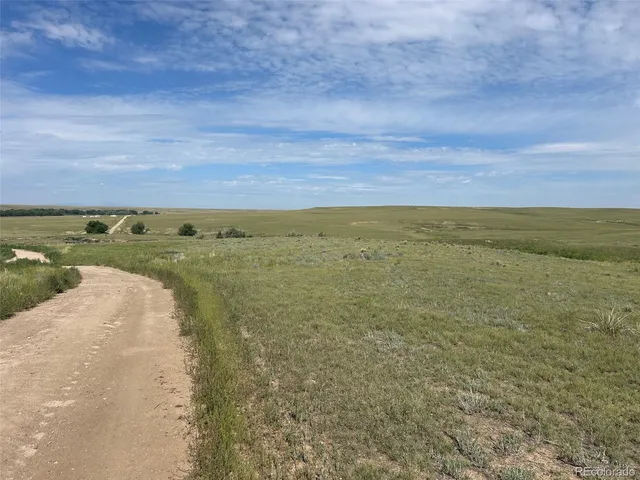 a view of an ocean beach