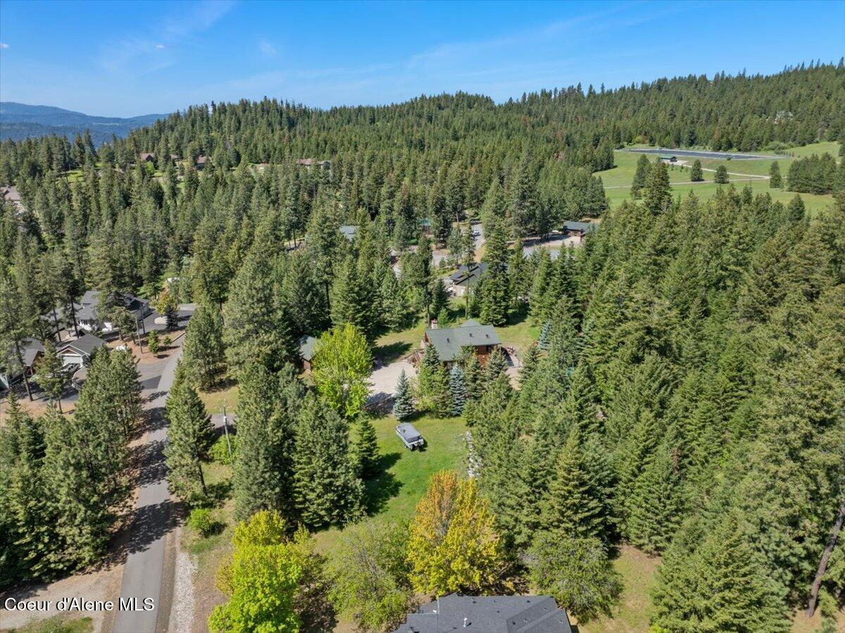 13764 South Ridgeview Drive Harrison, ID 83833 - Photo 60 of 60 63-Aerial side of home