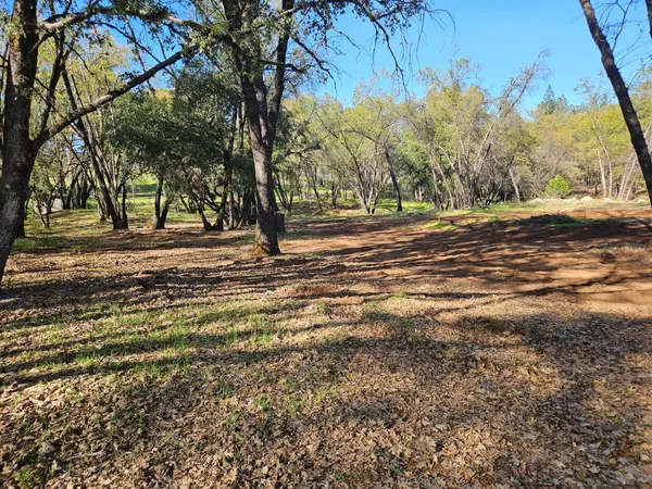 a view of dirt yard with large trees