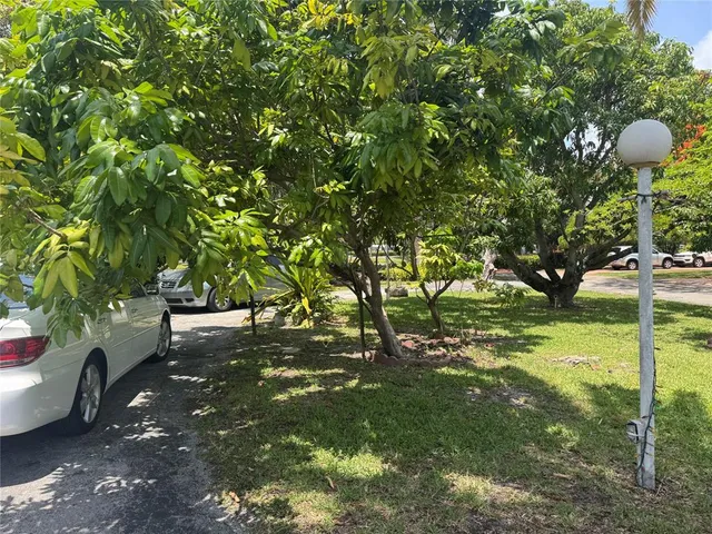 a view of yard with tree