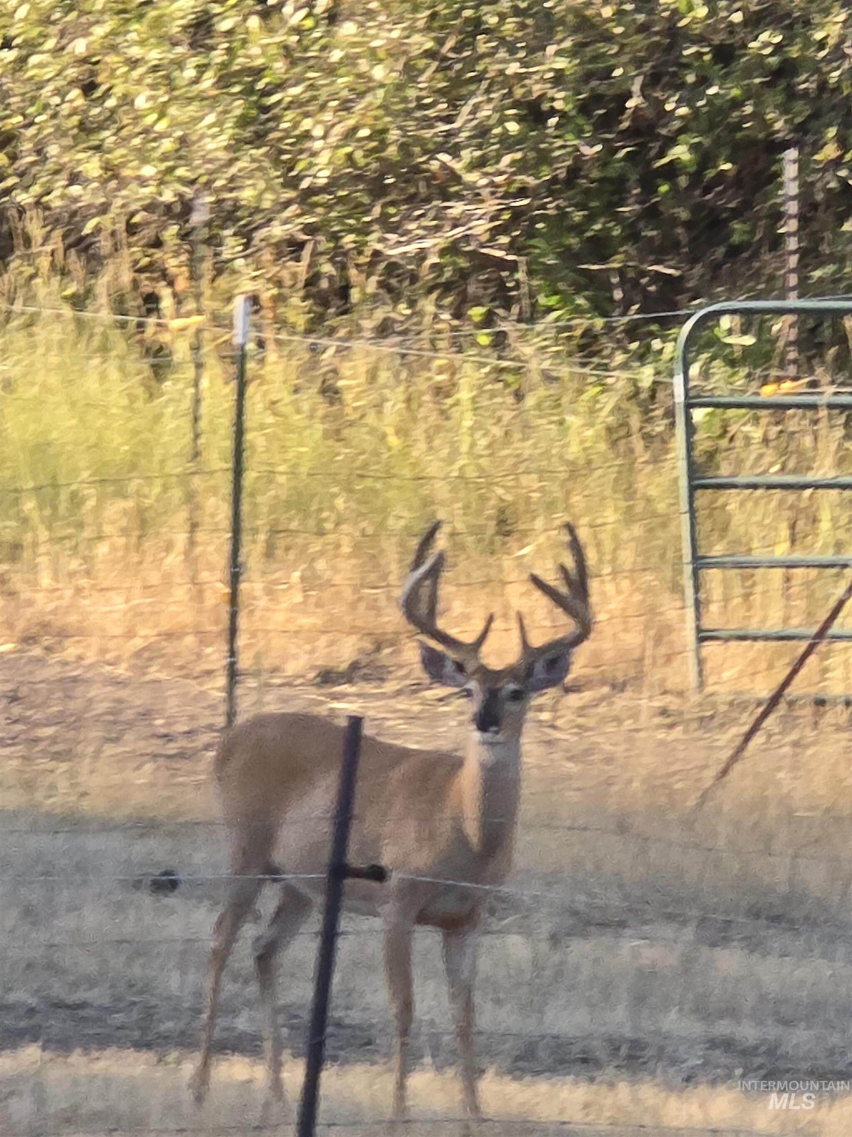 5371 Upper Fords Creek Road Orofino, ID 83544 - Photo 15 of 37