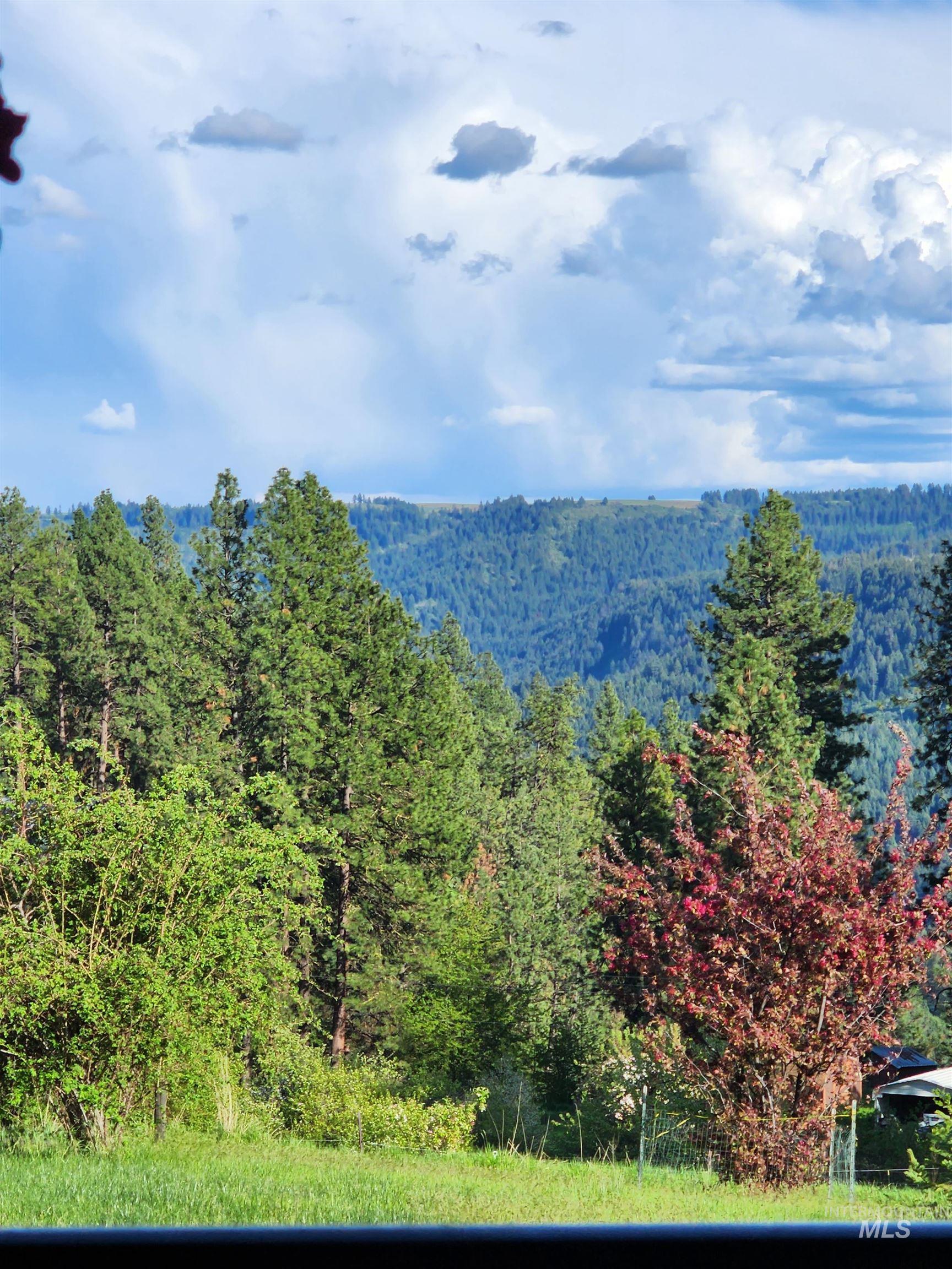 5371 Upper Fords Creek Road Orofino, ID 83544 - Photo 16 of 37