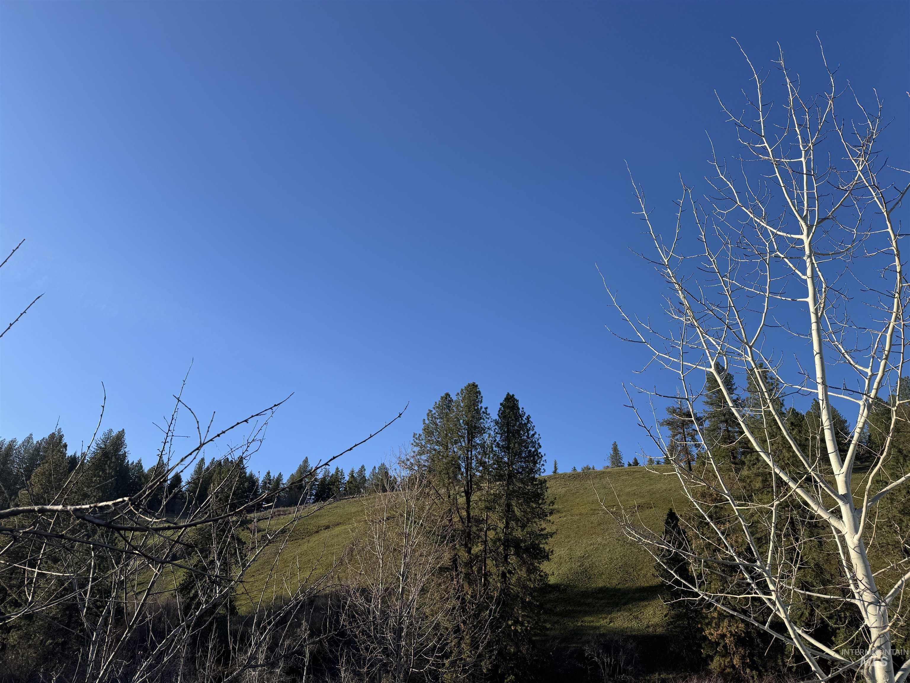 5371 Upper Fords Creek Road Orofino, ID 83544 - Photo 27 of 37