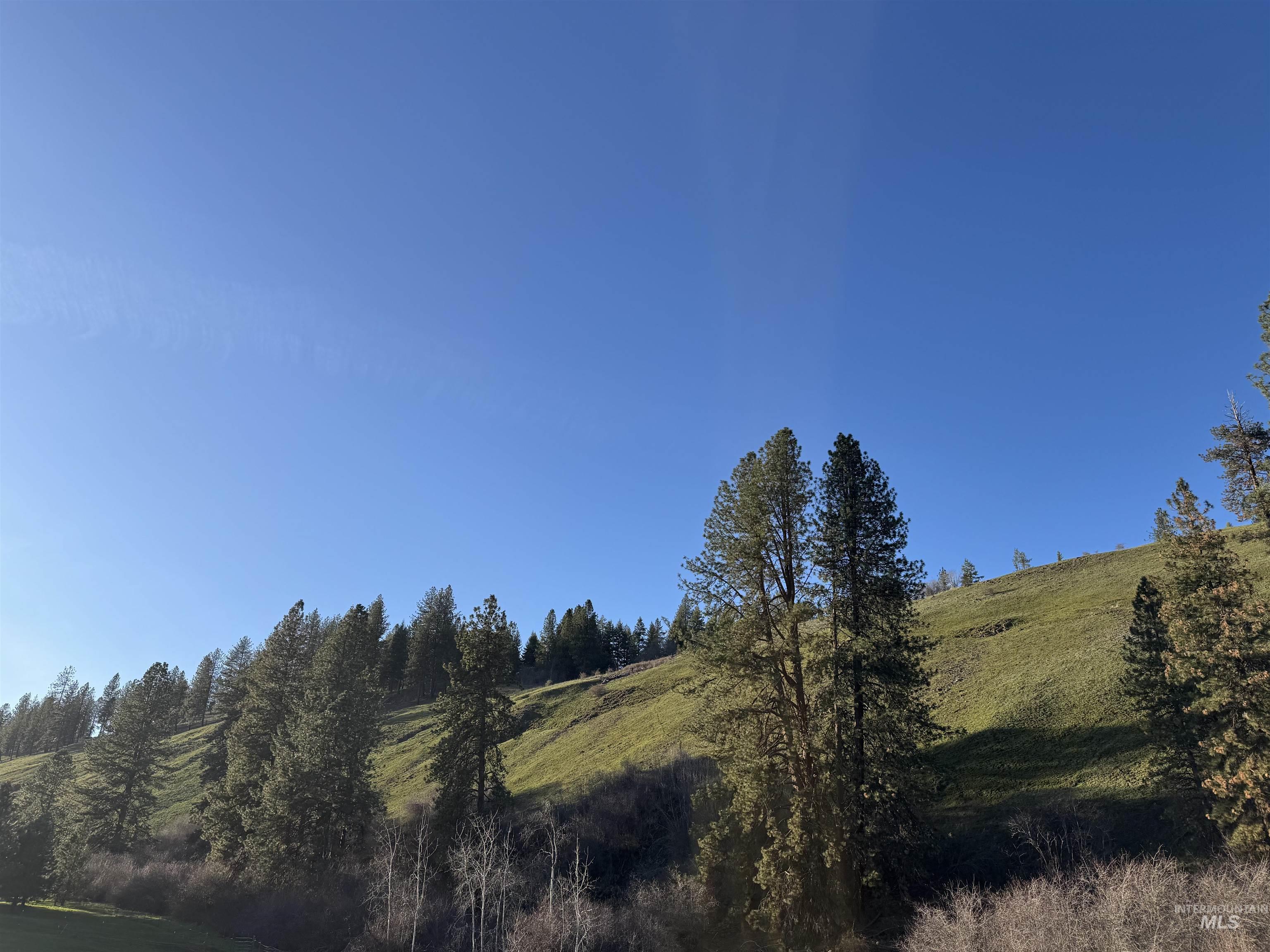 5371 Upper Fords Creek Road Orofino, ID 83544 - Photo 28 of 37