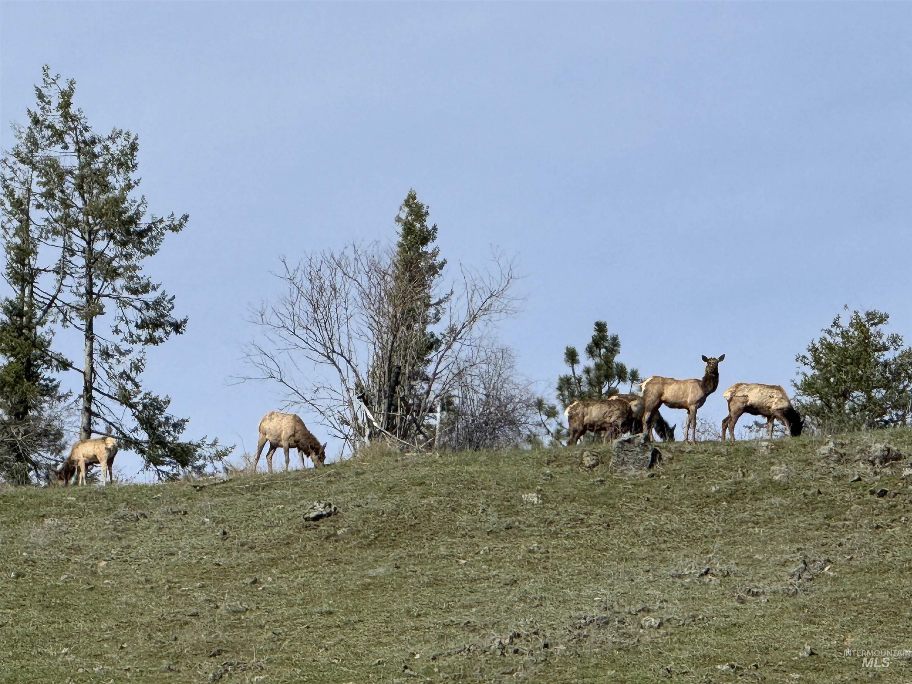 5371 Upper Fords Creek Road Orofino, ID 83544 - Photo 35 of 37