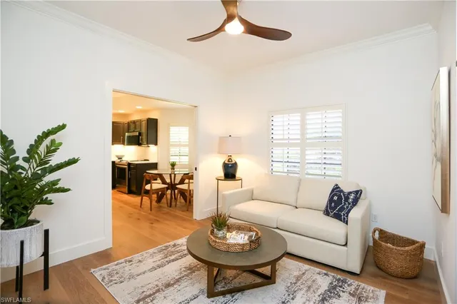 a living room with furniture potted plant and window