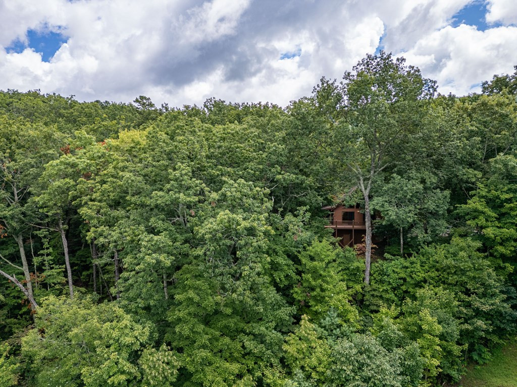 425 Boyd Ridge Drive Murphy, NC 28906 - Photo 37 of 41 USFS