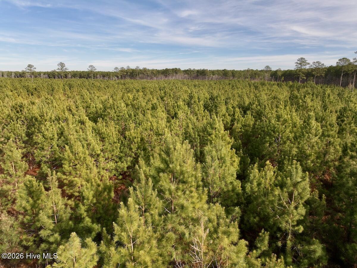 0 Old Washington Road Vanceboro, NC 28586 - Photo 25 of 34 25