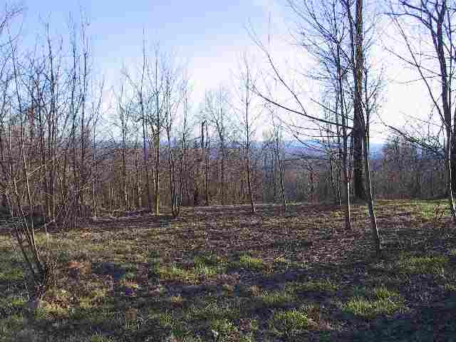 33-34 Raptor Way, Unit CLIFFS AT GLASSY Landrum, SC 29356 - Photo 1 of 9