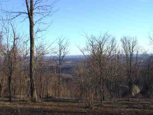 33-34 Raptor Way, Unit CLIFFS AT GLASSY Landrum, SC 29356 - Photo 4 of 9