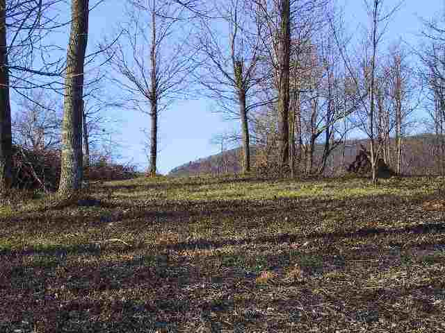 33-34 Raptor Way, Unit CLIFFS AT GLASSY Landrum, SC 29356 - Photo 5 of 9