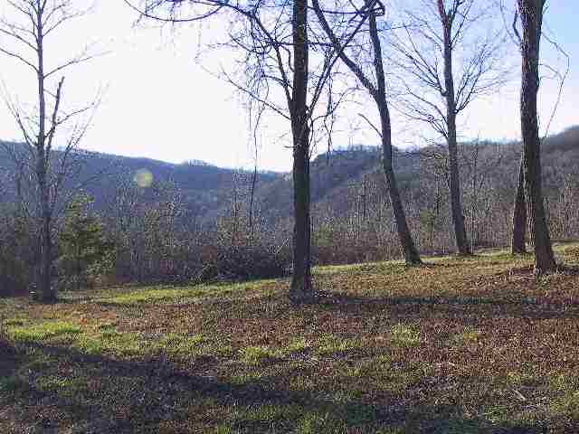 33-34 Raptor Way, Unit CLIFFS AT GLASSY Landrum, SC 29356 - Photo 6 of 9