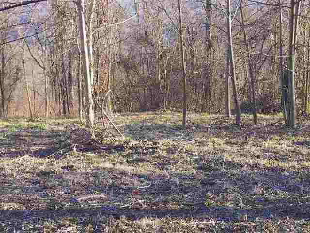 33-34 Raptor Way, Unit CLIFFS AT GLASSY Landrum, SC 29356 - Photo 7 of 9