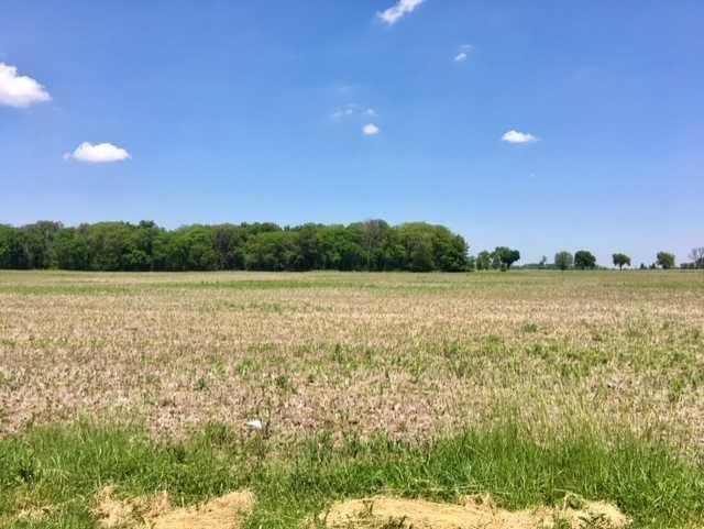Lot #2 Hayesville Road Circleville, OH 43113 - Photo 3 of 8 Gallery Image 3