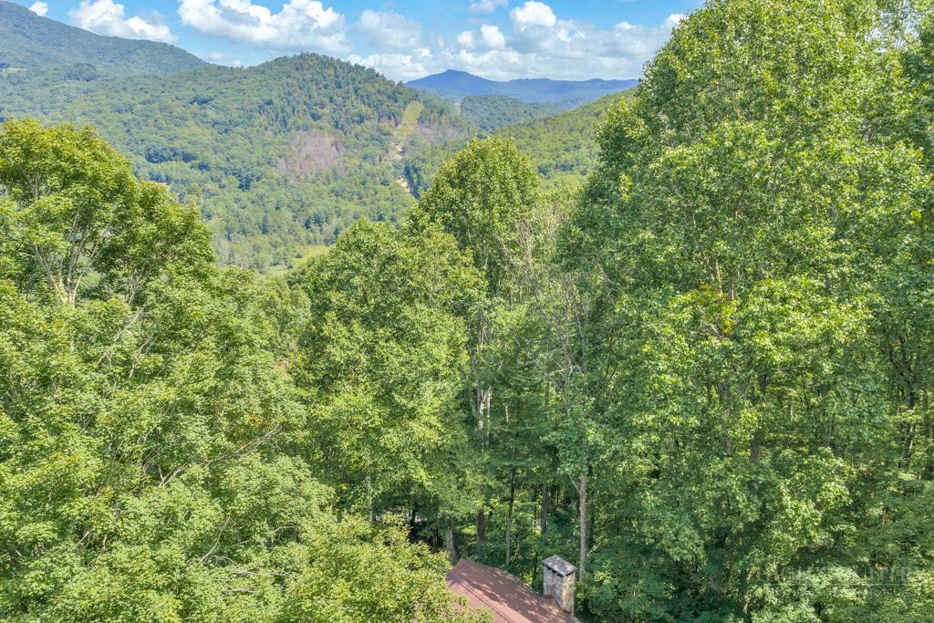 473 Double Knob Road Banner Elk, NC 28604 - Photo 12 of 48 Gallery Image 12