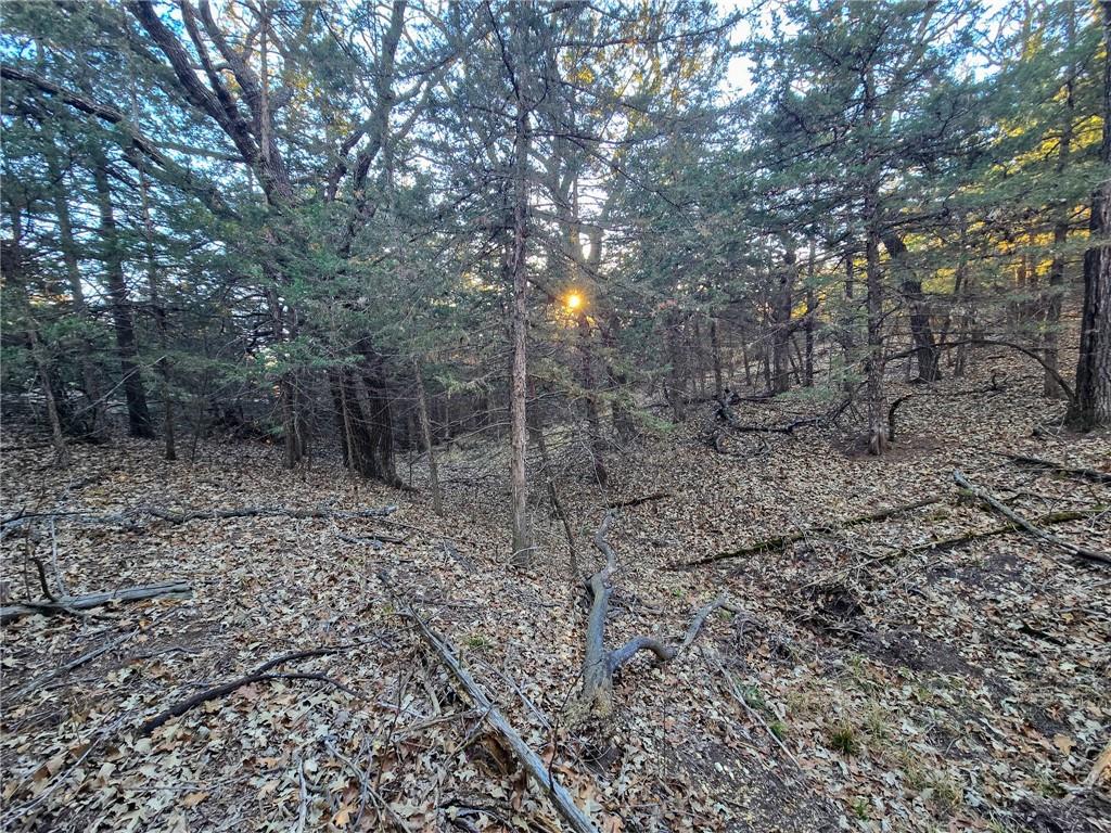 V Road Formoso, KS 66942 - Photo 16 of 85