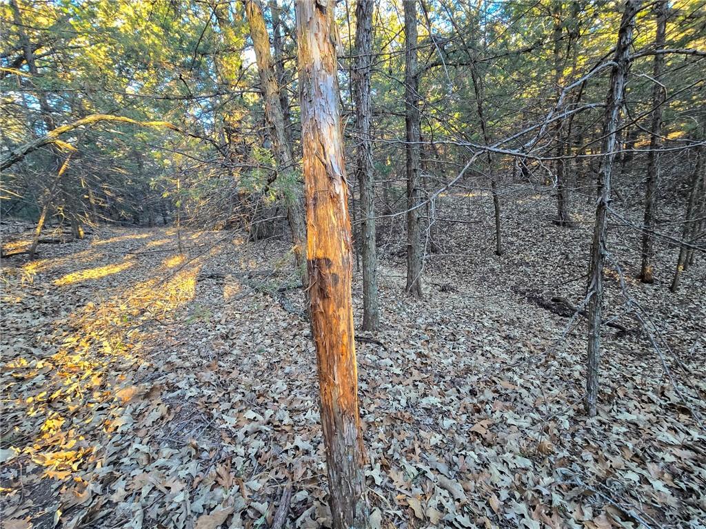 V Road Formoso, KS 66942 - Photo 17 of 85