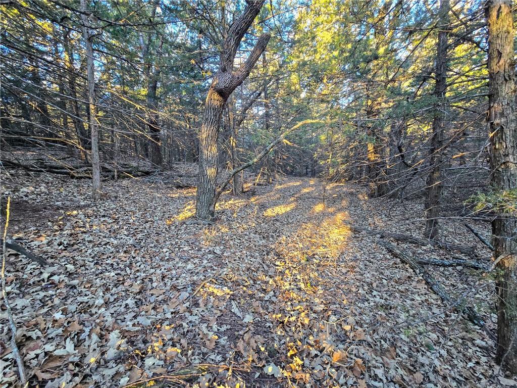 V Road Formoso, KS 66942 - Photo 19 of 85
