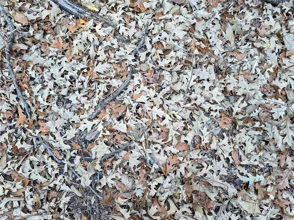 $1,175,000 | V Road, Formoso, KS 66942