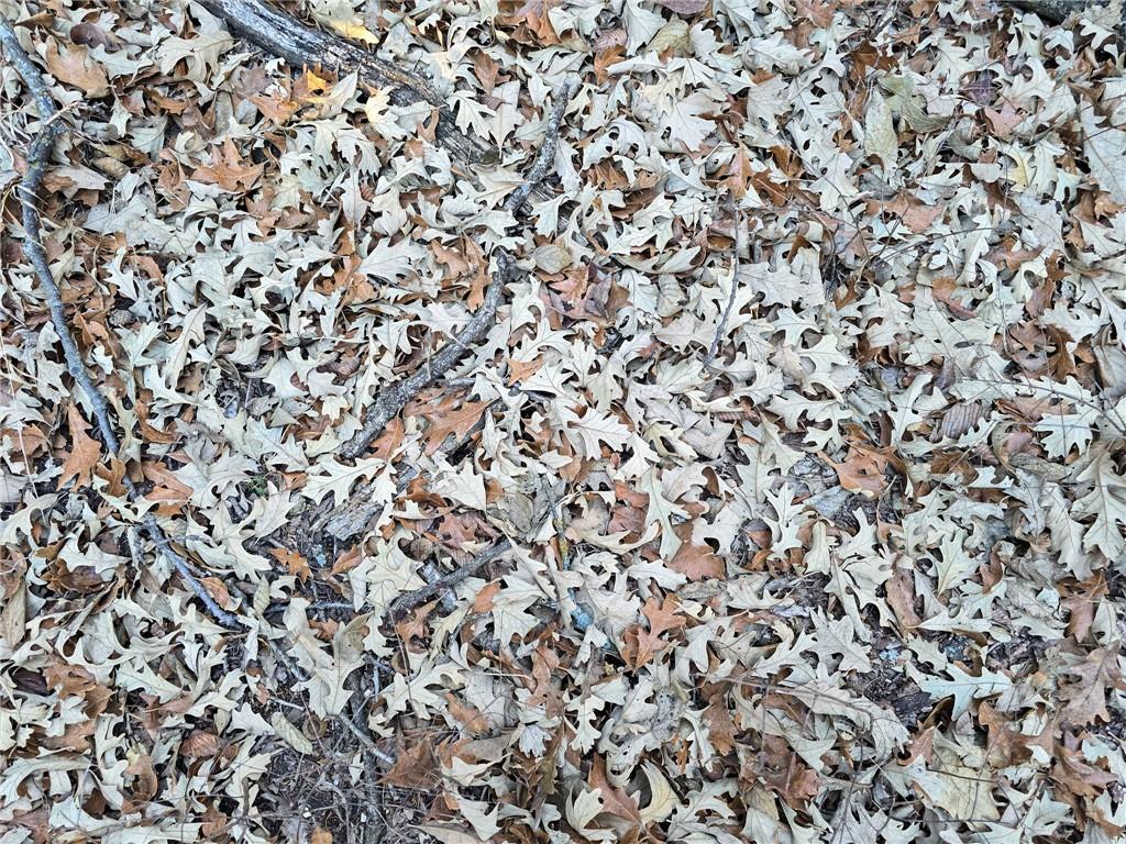 V Road Formoso, KS 66942 - Photo 25 of 85