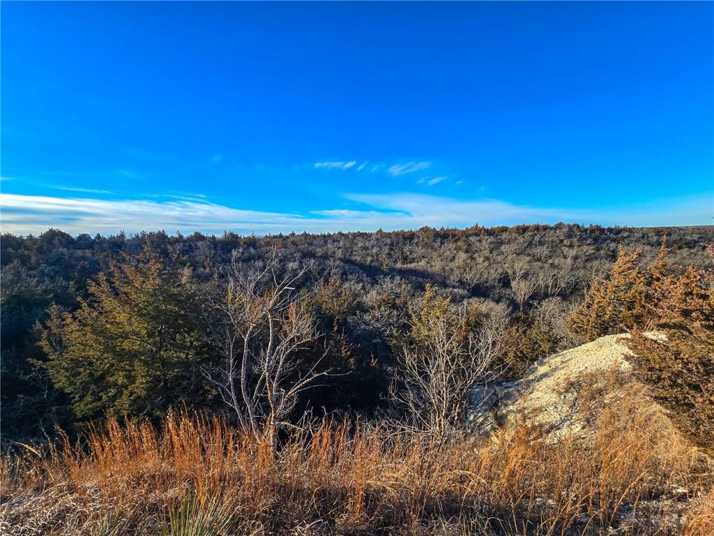 V Road Formoso, KS 66942 - Photo 28 of 85