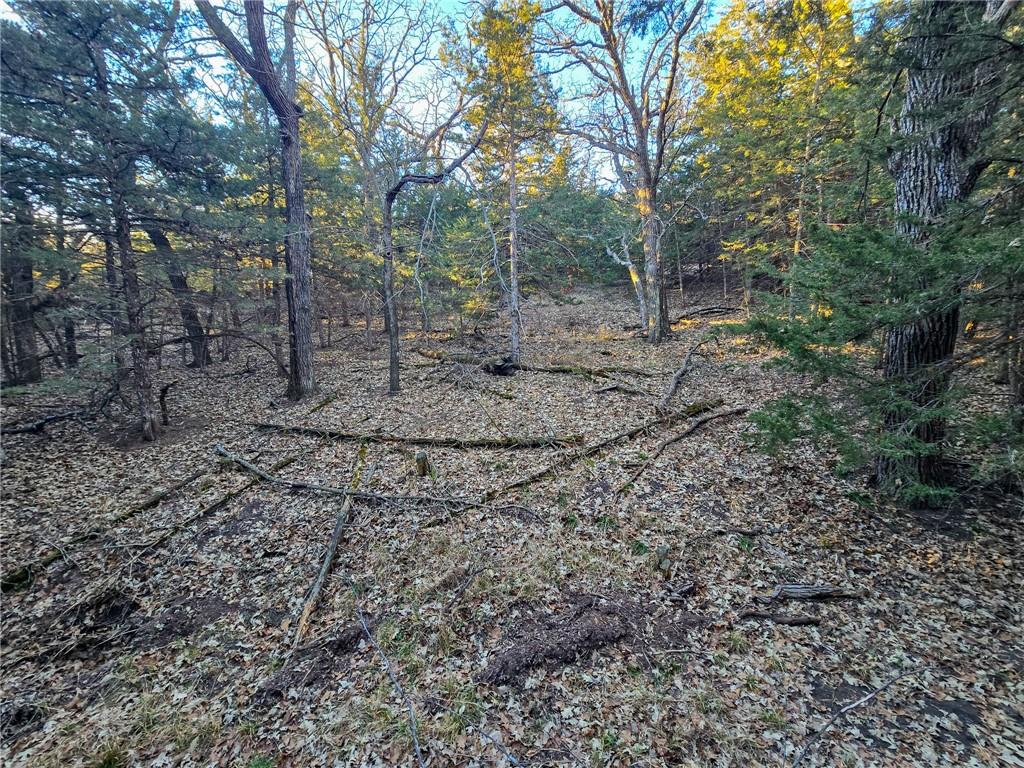 V Road Formoso, KS 66942 - Photo 41 of 85