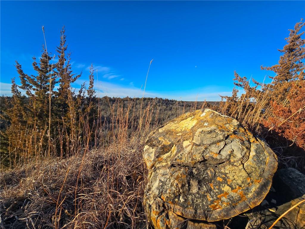 V Road Formoso, KS 66942 - Photo 47 of 85