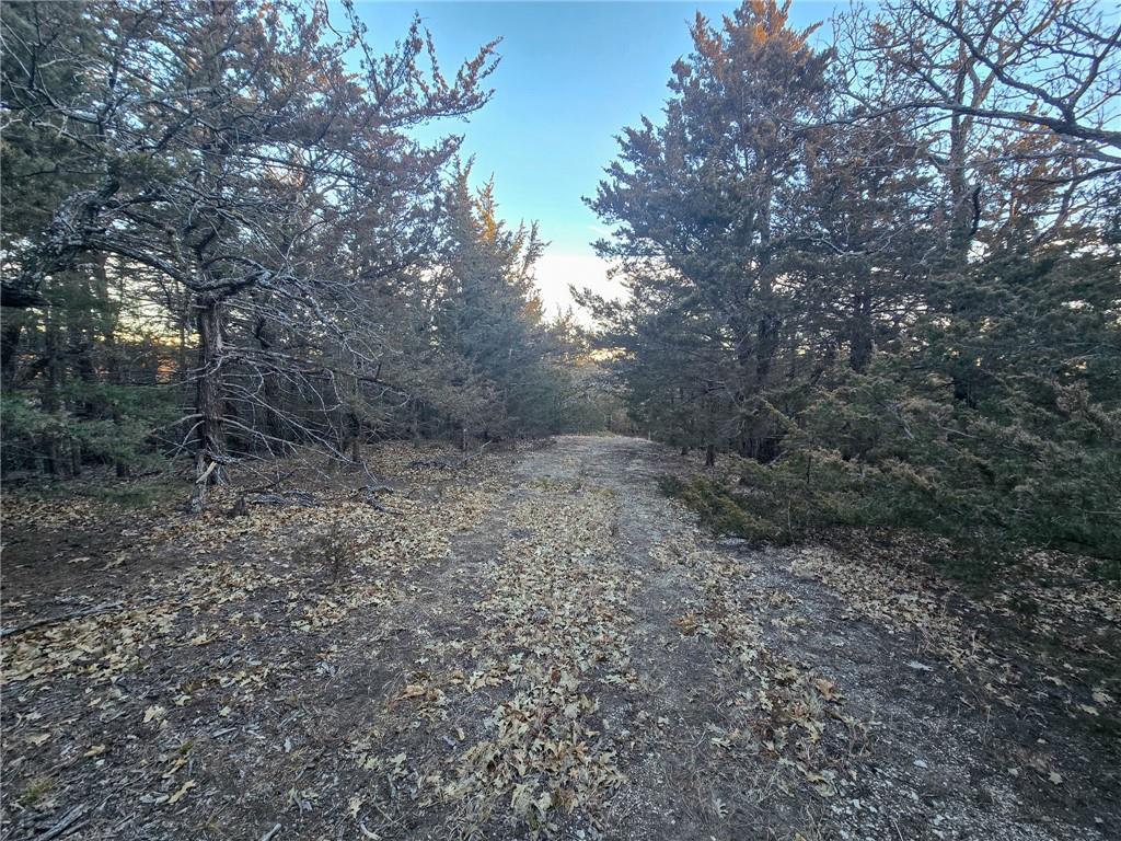 V Road Formoso, KS 66942 - Photo 10 of 85