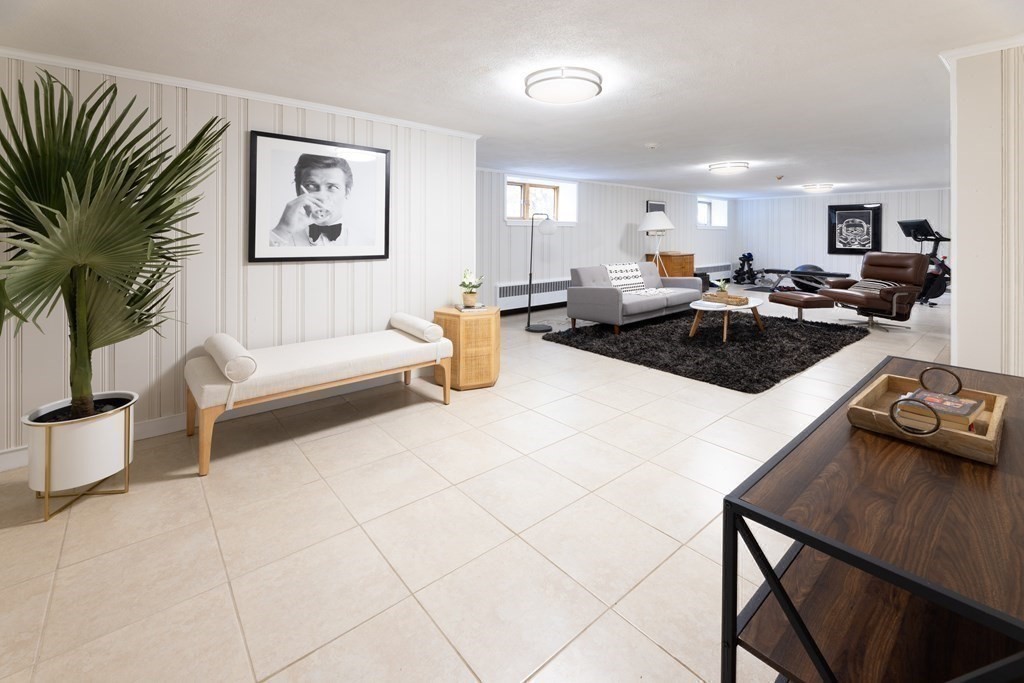 66 Roosevelt Road Newton, MA 02459 - Photo 12 of 17 a living room with furniture and a potted plant