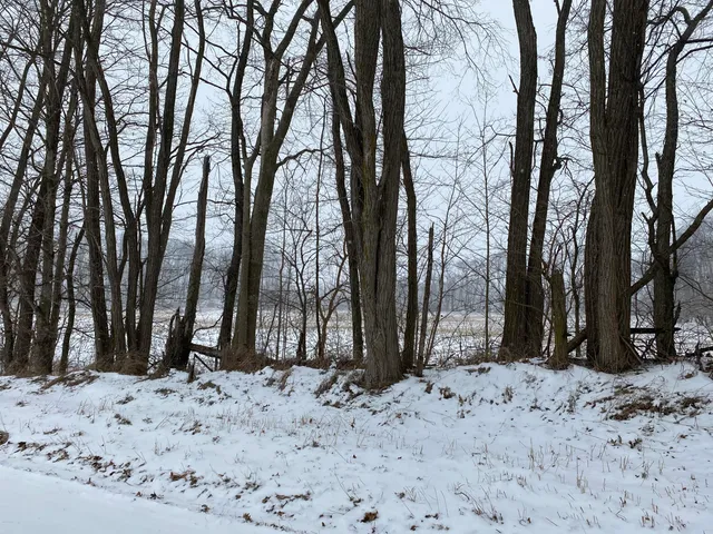 $424,000 | West Thompson Road, Bronson, MI 49028