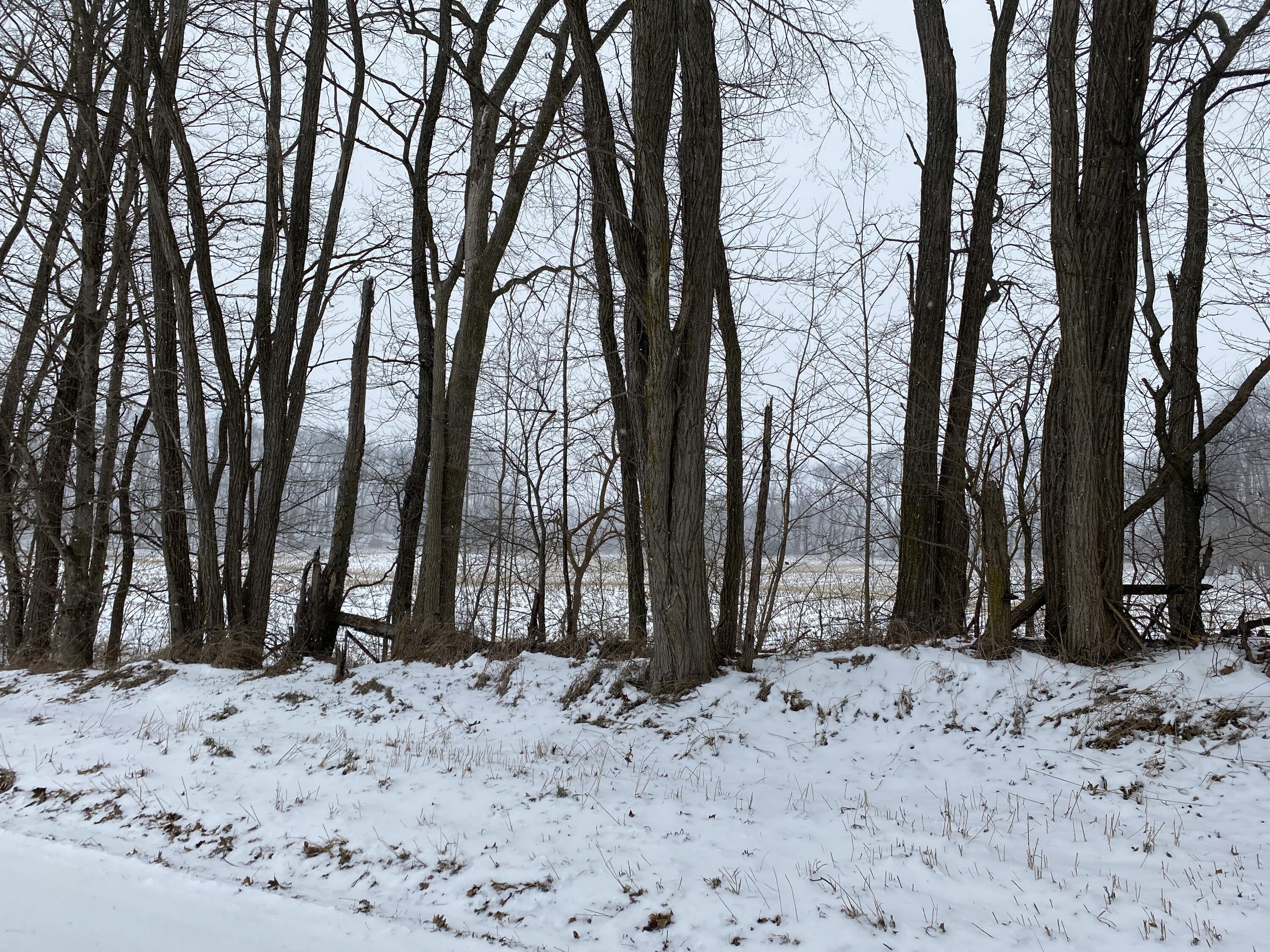 West Thompson Road Bronson, MI 49028 - Photo 3 of 5 IMG_3408