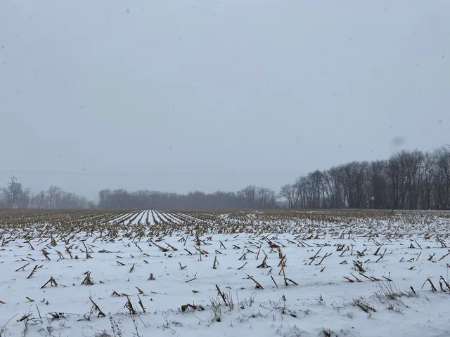 $424,000 | West Thompson Road, Bronson, MI 49028